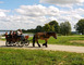 Haras de Madine 1 - Heudicourt-sous-les-Côtes