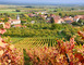 Domaine de Montgrignon 6 - Vigneulles-lès-Hattonchâtel