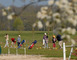 Golf de Madine 1 - Nonsard-Lamarche