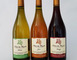 Domaine de la Goulotte 1 - Saint-Maurice-sous-les-Côtes