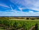 Domaine Léo-Paul Liénard 2 - Vigneulles-lès-Hattonchâtel