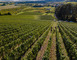 Domaine de l'Aumonière 1 - Vigneulles-lès-Hattonchâtel