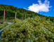 Domaine de l'Aumonière 2 - Vigneulles-lès-Hattonchâtel