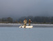Pêche au lac de Madine 5 - Heudicourt-sous-les-Côtes