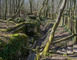 Tranchées des Bavarois et de Roffignac 5 - Apremont-la-Forêt