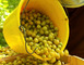 Au grenier fruitier 1 - Geville