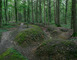 Bois d'Ailly - Tranchée de la Soif 2 - Han-sur-Meuse