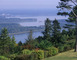 Réserve du lac de Madine 1 - Nonsard-Lamarche