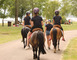 Haras de Madine 5 - Heudicourt-sous-les-Côtes